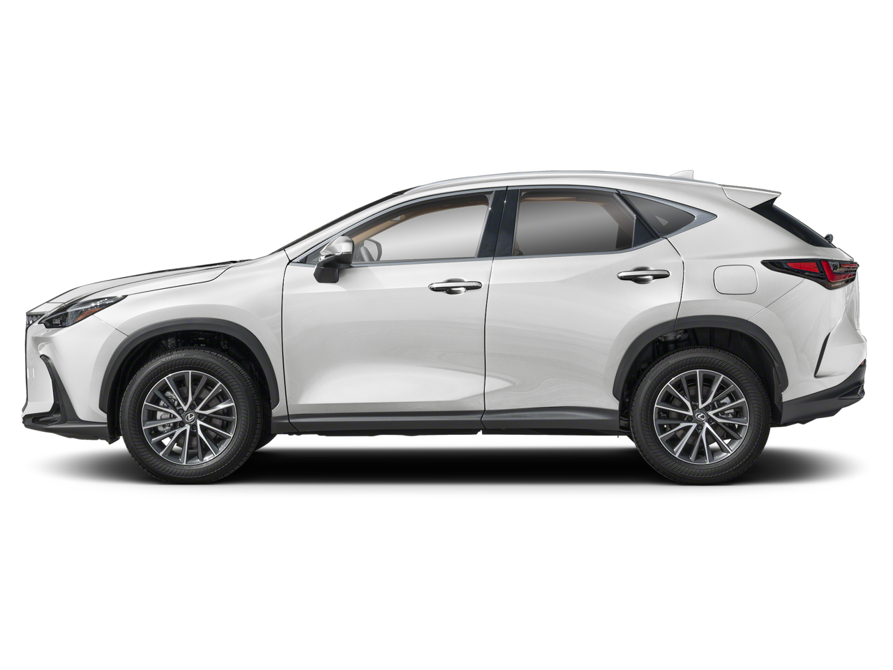 2025 Lexus NX — rear three-quarter view